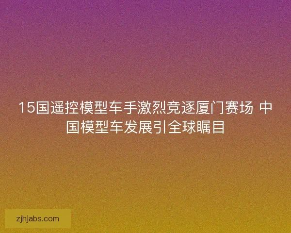 15国遥控模型车手激烈竞逐厦门赛场 中国模型车发展引全球瞩目