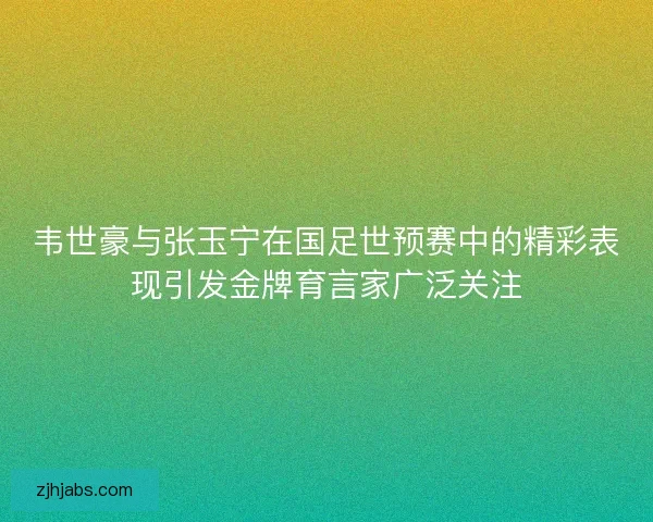 韦世豪与张玉宁在国足世预赛中的精彩表现引发金牌育言家广泛关注